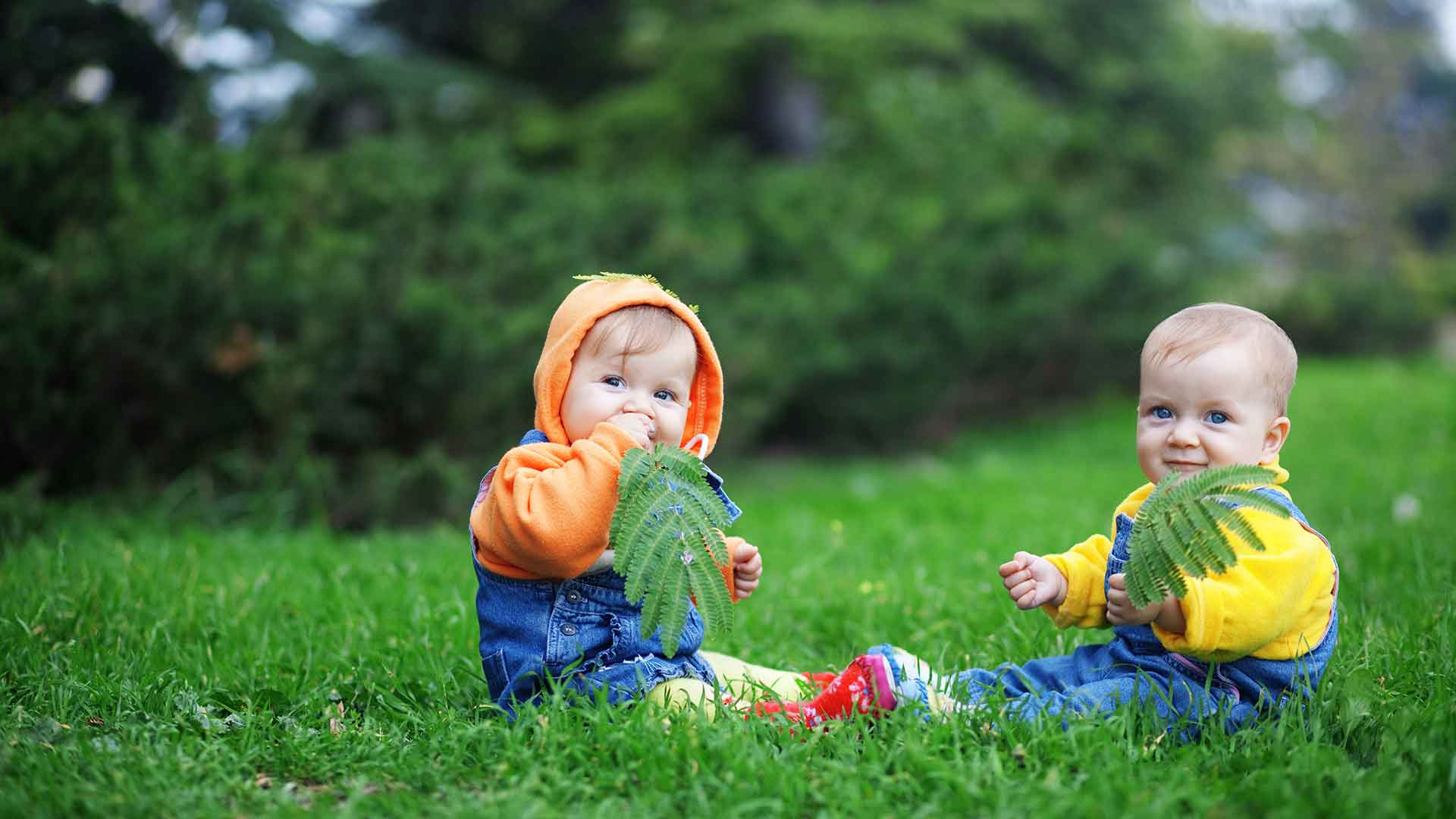 Website Business Solutions Website Business Solutions